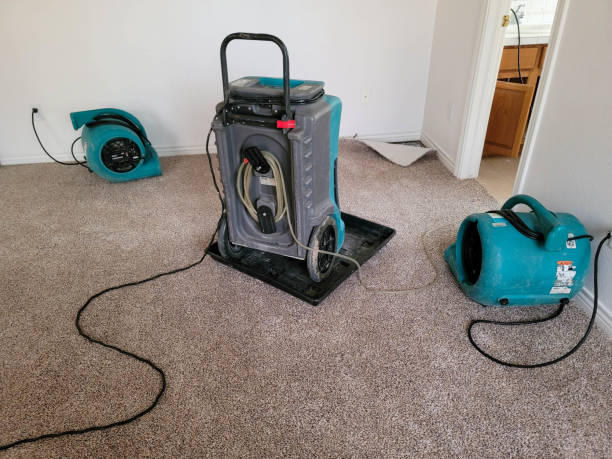 Best Residential water damage restoration  in Luxemburg, WI