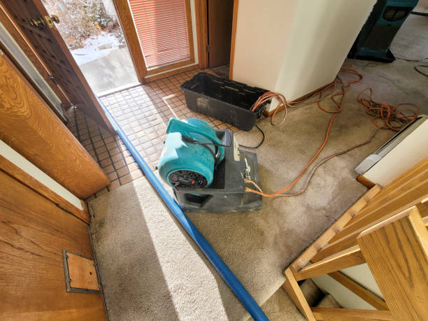 Best Fire Damage Restoration  in Luxemburg, WI