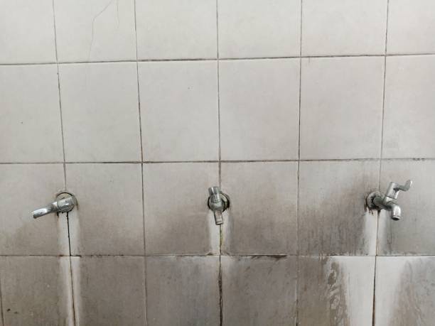 Best Professional water damage repair  in Luxemburg, WI
