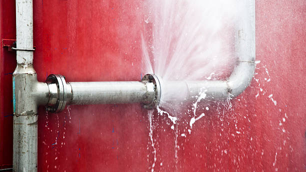 Best Mold removal after water damage  in Luxemburg, WI